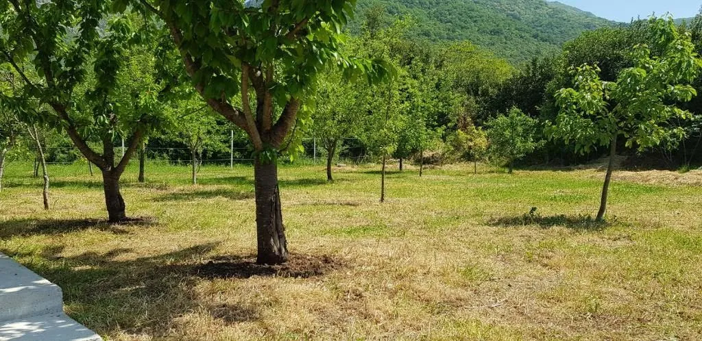 Prodaja, kuća, 76m², Herceg Novi, Crna Gora