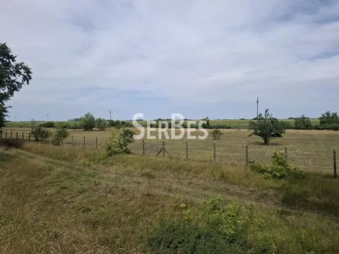 Zemljište in Čenej