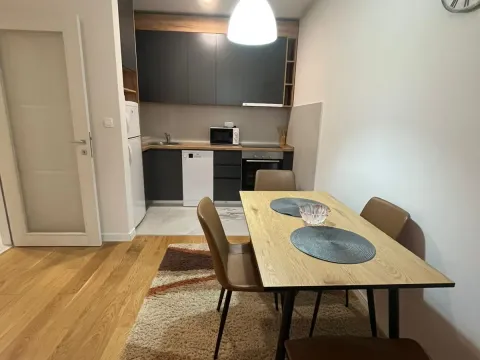 Prodaja, jednosoban stan, 49m², Central Point, Podgorica - image 7