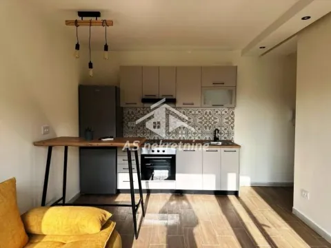 Izdavanje, stan, 36m², Novi Beograd Sve Podlokacije, Beograd - image 3