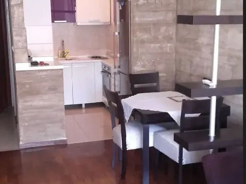Izdavanje, dvosoban stan, 55m², Vračar Sve Podlokacije, Beograd - image 2