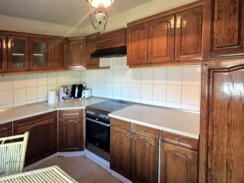 Prodaja, kuća, 380m², Šanac, Loznica - image 19