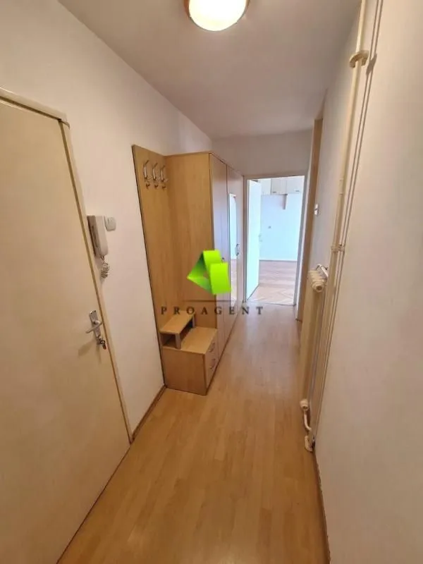Rent, one bedroom apartment, 50m², Crveni Pevac, Niš