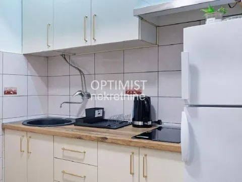Rent, three bedroom apartment, 45m², Vračar Sve Podlokacije, Beograd - image 12