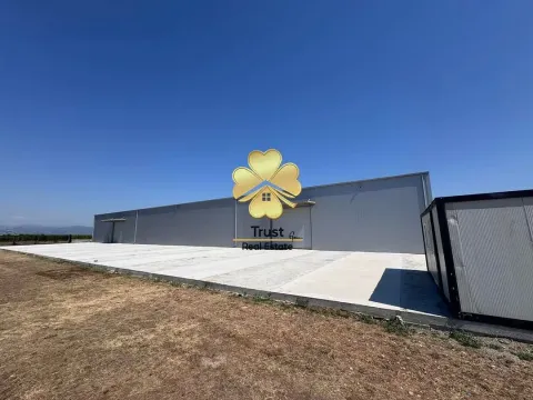 Izdavanje,  poslovni prostor, 1000m2, Podgorica