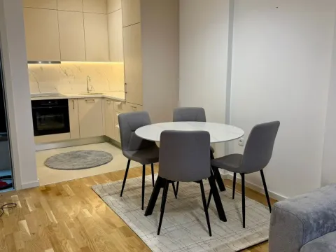 Izdavanje, jednosoban stan, 43m², Stari Aerodrom, Podgorica - image 4