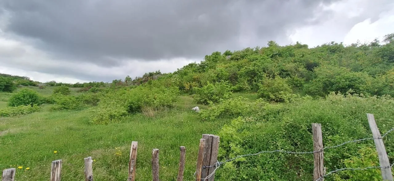 Prodaja, plac, 12650m², Gorica C, Podgorica
