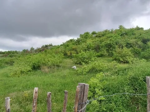 Prodaja, plac, 12650m², Gorica C, Podgorica - image 2