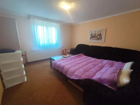 Sale, house, 300m², Kelebija, Subotica - image 25