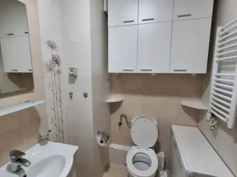 Izdavanje, jednosoban stan, 45m², Stari Aerodrom, Podgorica - image 11