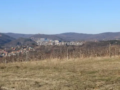 Sale, land lot, 2500m², Irig, Srbija - image 9