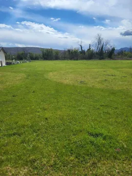 Prostran zeleni plac okružen drvećem pod plavim nebom. - image 8