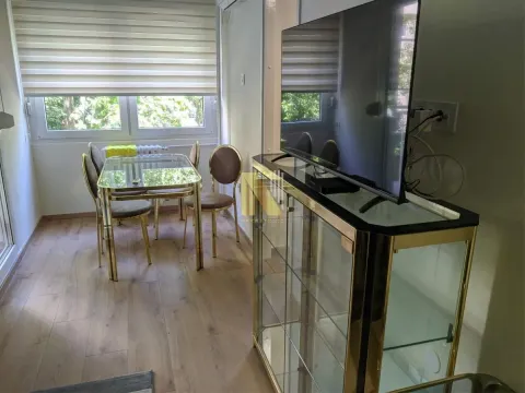 Izdavanje, dvosoban stan, 52m², Liman 4, Novi Sad Sve Podlokacije - image 3