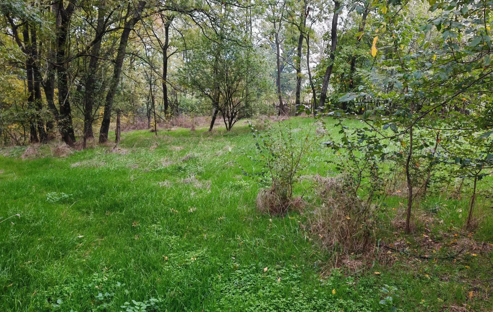 Sale, land lot, 33900m², Velika Ivanča, Mladenovac