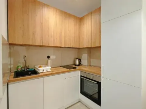 Izdavanje, jednosoban stan, 45m², Budva, Crna Gora - image 2