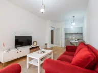 Izdavanje, jednosoban stan, 55m², Central Point, Podgorica - image 11