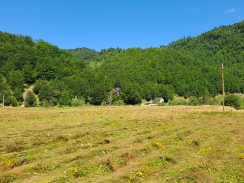 Prodaja, plac, 7000m², Veruša, Podgorica - image 12