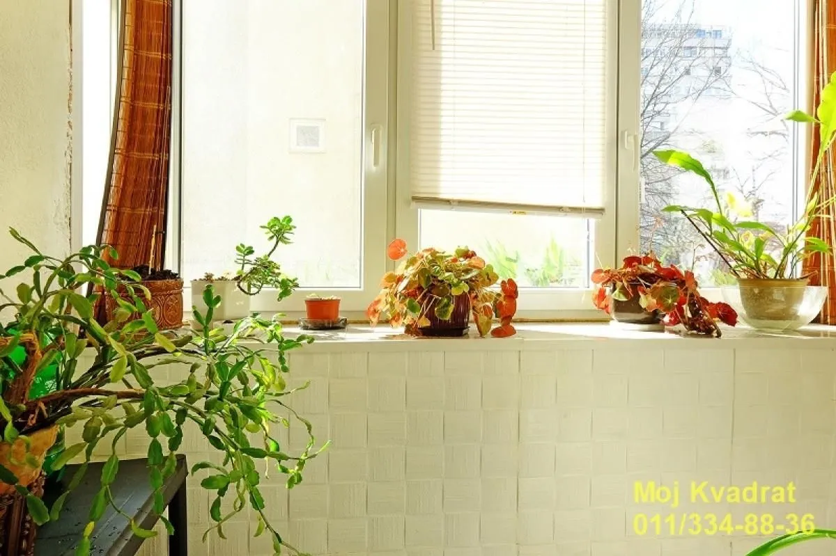 Sale, two bedroom apartment, 65m², Južni Bulevar, Vračar Sve Podlokacije