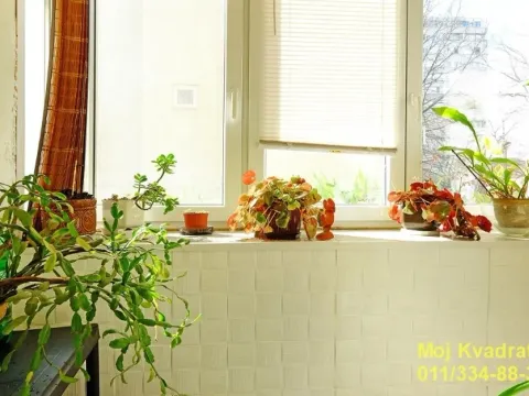 Sale, two bedroom apartment, 65m², Južni Bulevar, Vračar Sve Podlokacije - image 12