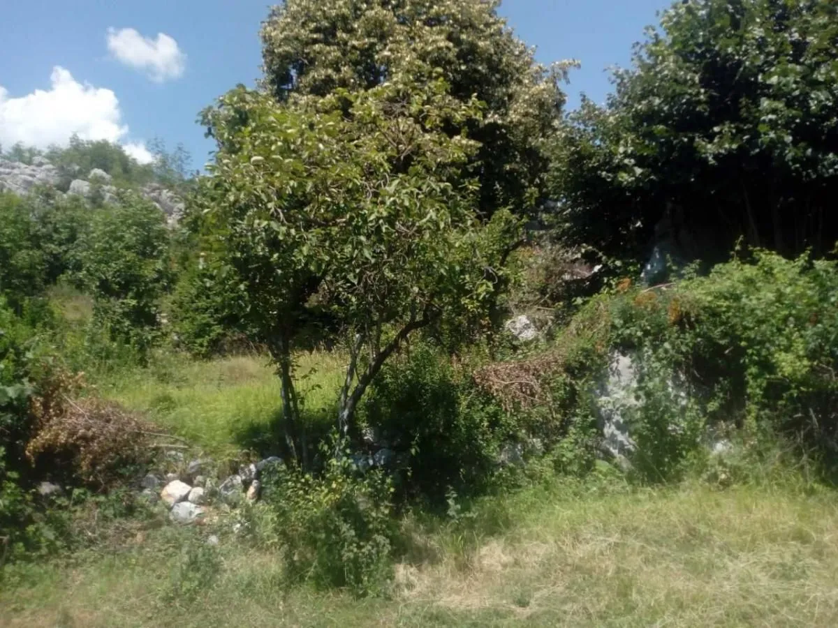 Prodaja, plac, 240000m², Štitari, Cetinje