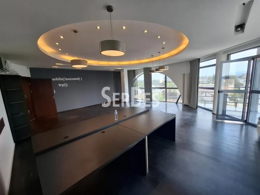 Sale, office space, 736m², Salajka, Novi Sad Sve Podlokacije