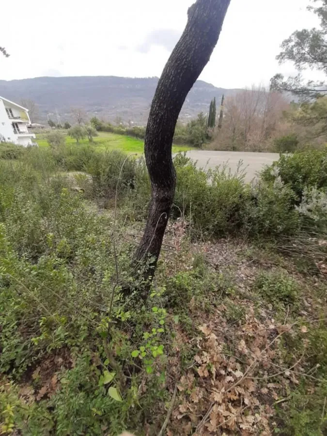Prodaja, plac, 400m², Tivat, Crna Gora