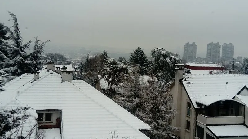 Izdavanje, dvosoban stan, 49m², Dedinje Sve Podlokacije, Beograd