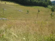 Prodaja, plac, 199938m², Donja Bukovica, Šavnik - image 6