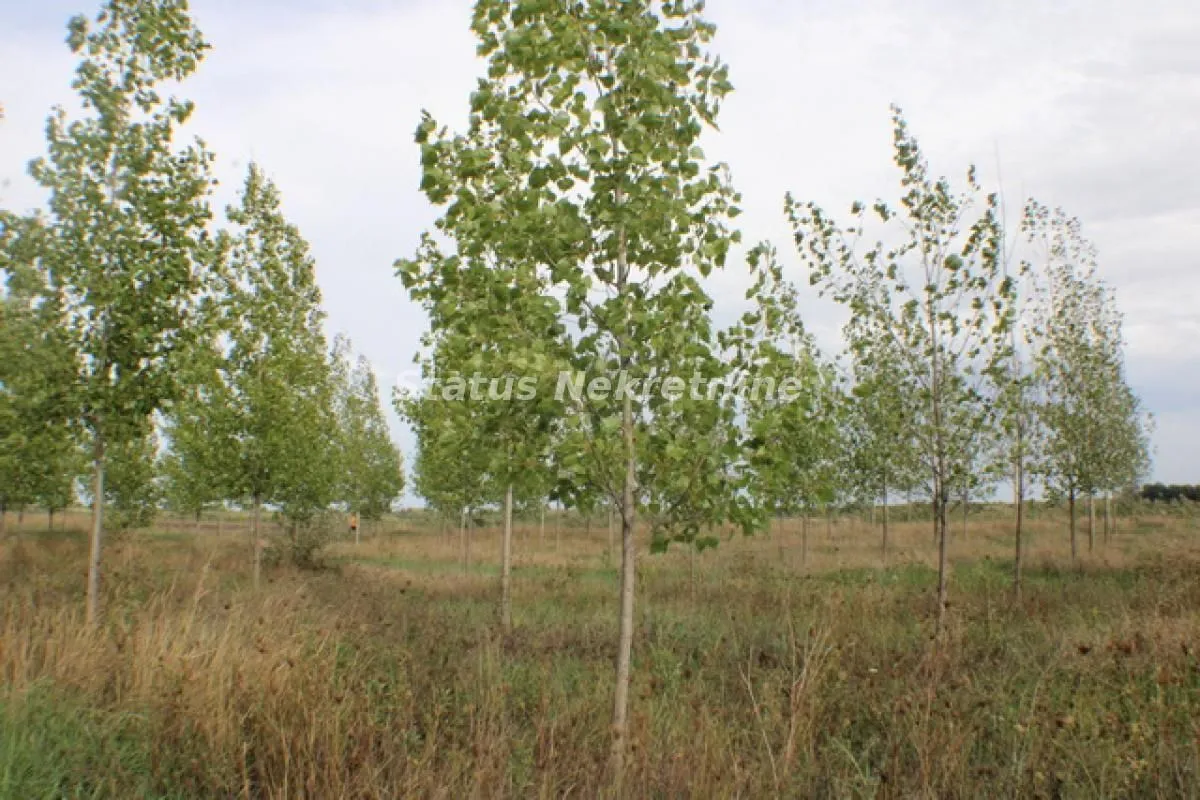 Prodaja, plac, 1378m², Zrenjanin, Srbija