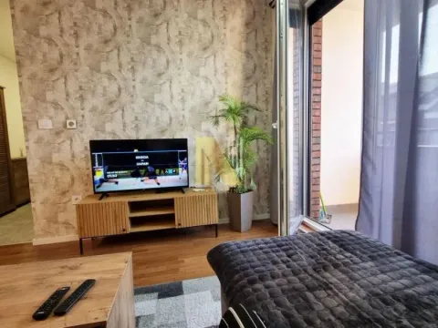 Izdavanje, dvosoban stan, 46m², Podbara, Novi Sad Sve Podlokacije - image 3