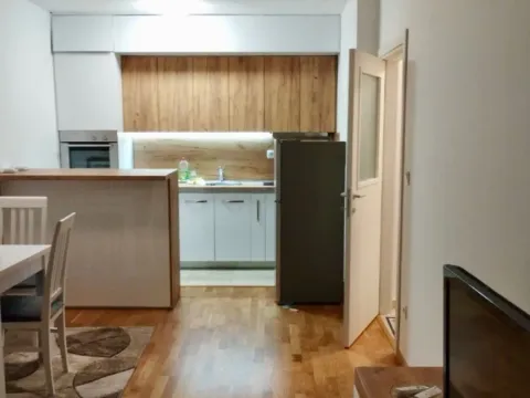 Izdavanje, jednosoban stan, 43m², Stari Aerodrom, Podgorica - image 3