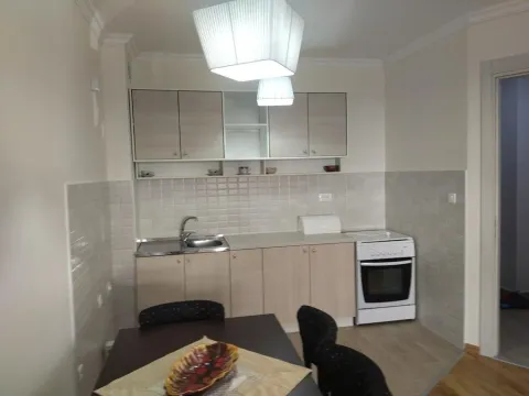 Izdavanje, jednosoban stan, 47m², Ljubović, Podgorica - image 14