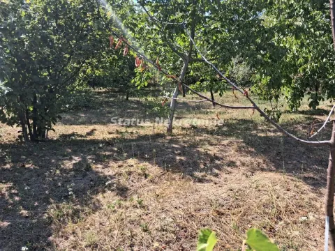 Prodaja, kuća, 30m², Ledinci, Petrovaradin - image 15