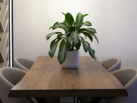 Izdavanje, jednosoban stan, 47m², Stari Aerodrom, Podgorica - image 7