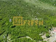 Prodaja, plac, 21460m², Beri, Podgorica - image 3