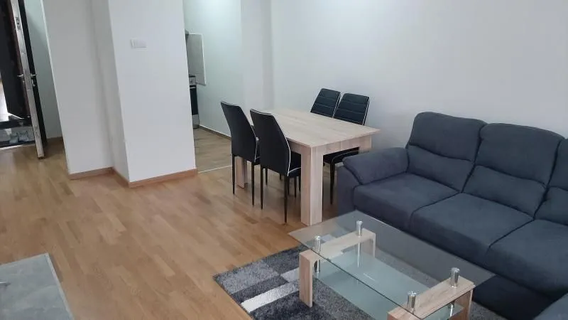 Izdavanje, dvosoban stan, 48m², Podbara, Novi Sad Sve Podlokacije