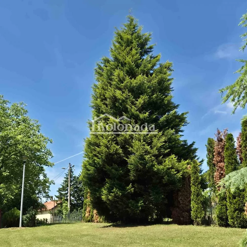 Sale, house, 149m², Sopot, Beograd