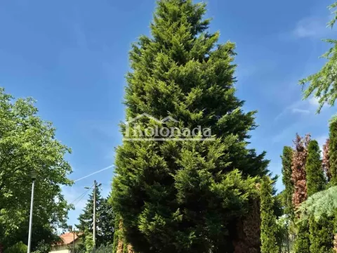 Sale, house, 149m², Sopot, Beograd - image 20