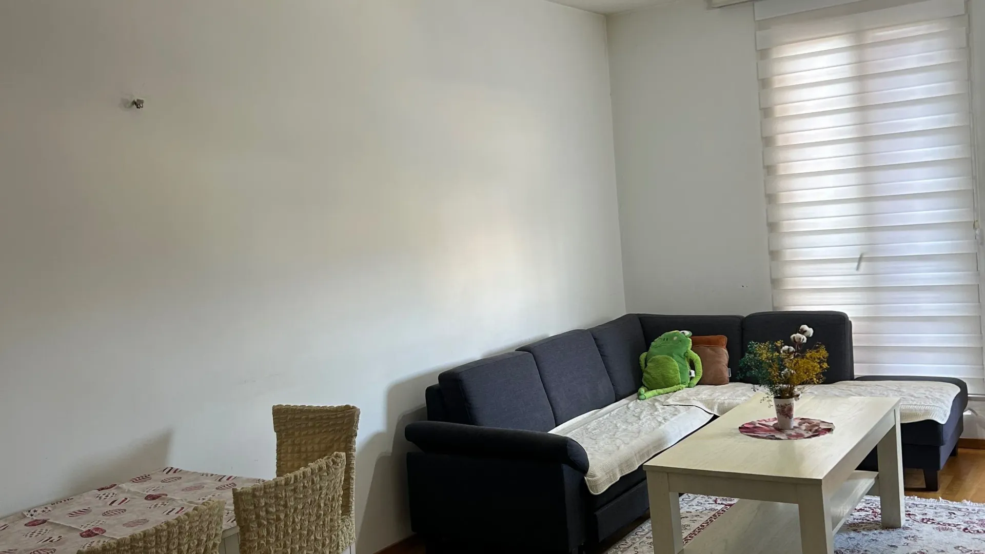 Rent, one bedroom apartment, 48m², Stari Aerodrom, Podgorica