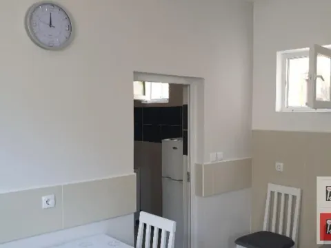 Izdavanje, jednosoban stan, 50m², Petrovaradin, Novi Sad - image 13