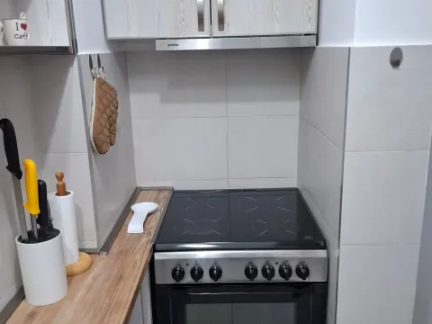 Izdavanje, jednosoban stan, 30m², Stara Varoš, Podgorica - image 5