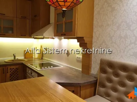 Izdavanje, dvosoban stan, 55m², Vračar Hram, Vračar Sve Podlokacije - image 9