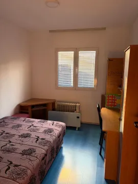 Rent, house, 106m², Zabjelo, Podgorica - image 10