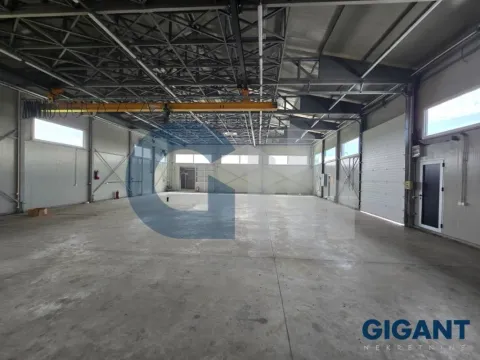 Izdavanje, poslovni prostor, 800m², Čukarica, Beograd - image 3