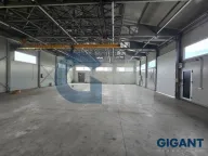 Izdavanje, poslovni prostor, 800m², Čukarica, Beograd - image 3