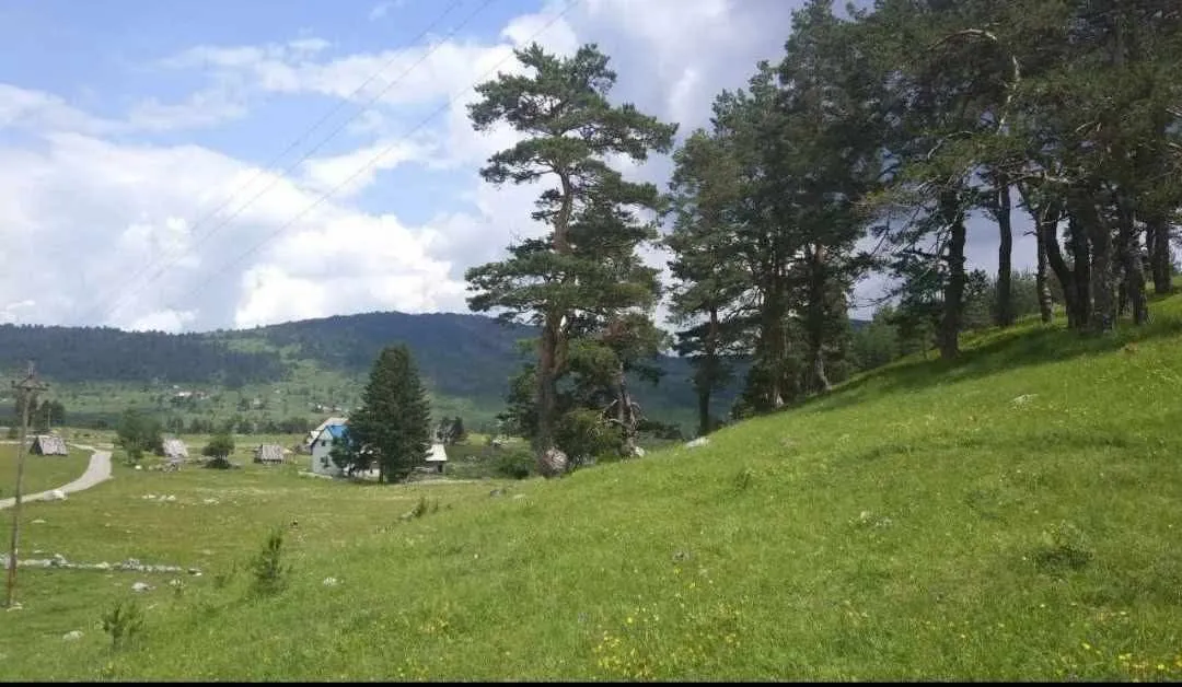 Prodaja, plac, 17000m², Žabljak, Crna Gora