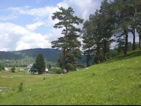 Prodaja, plac, 17000m², Žabljak, Crna Gora - image 10