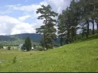 Prodaja, plac, 17000m², Žabljak, Crna Gora - image 10