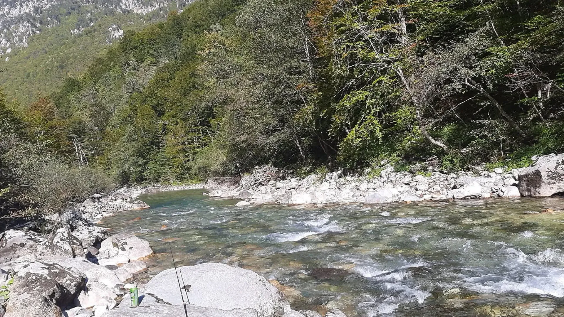 Prodaja, plac, 4000m², Dobrilovina, Mojkovac