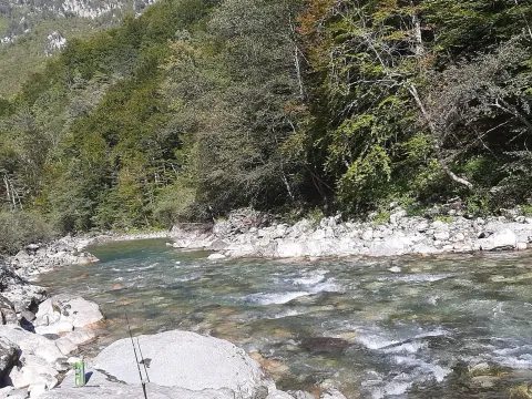 Prodaja, plac, 4000m², Dobrilovina, Mojkovac - image 14